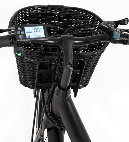Black Youin BK2226B electric bike with 26-inch wheels and 250W motor, designed for sport and outdoor cycling.