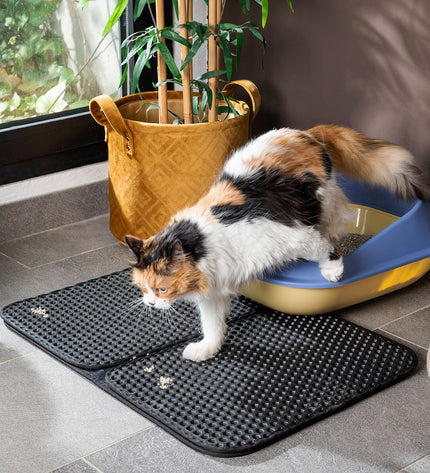 InnovaGoods Clikatt cat litter mat with textured surface designed for trapping litter and keeping the area clean.