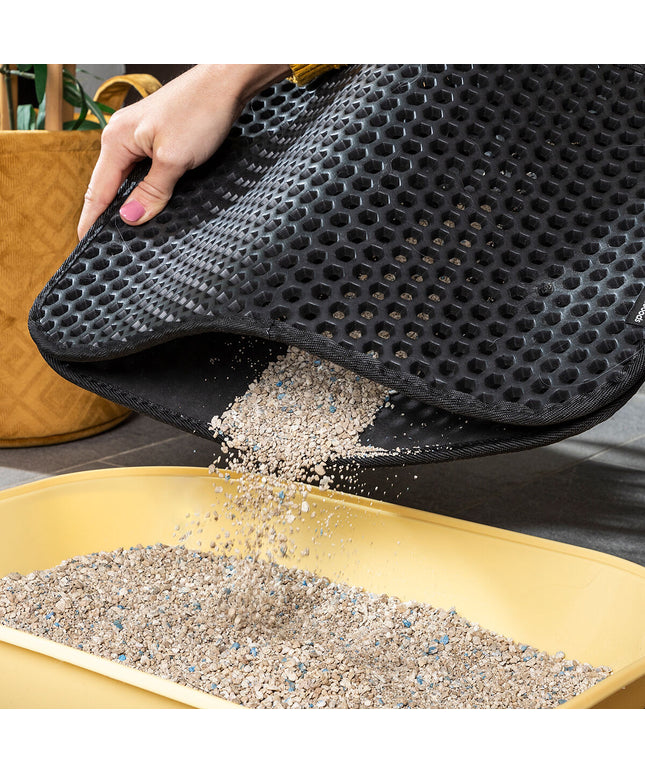 V11HE8E7CB603A3F93CB3756F1997FC4F59AR5255846P2