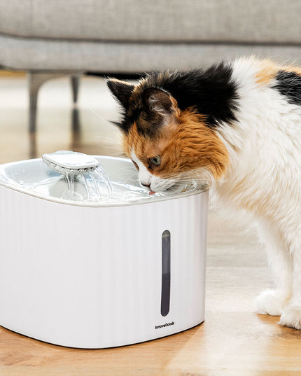 V9HB55C621FC89CD1B9770F30C76066F965R5279168P1