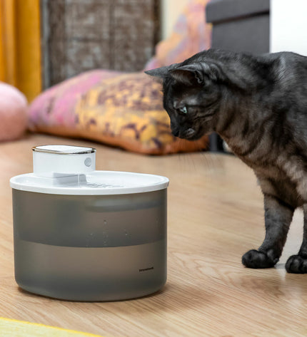 InnovaGoods rechargeable cat water fountain with sensor, featuring a sleek design and water flow for pets.