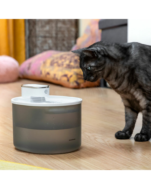 InnovaGoods rechargeable cat water fountain with sensor, featuring a sleek design and water flow for pets.