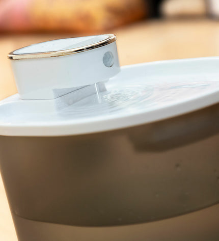 InnovaGoods rechargeable cat water fountain with sensor, showing transparent water basin and sleek design for pet hydration.