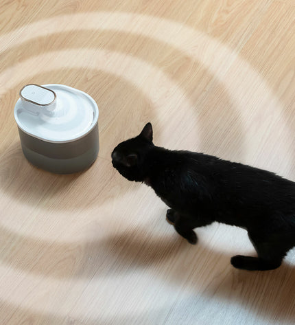 InnovaGoods rechargeable water fountain with sensor for cats, featuring a sleek design and flowing water to attract feline pets.