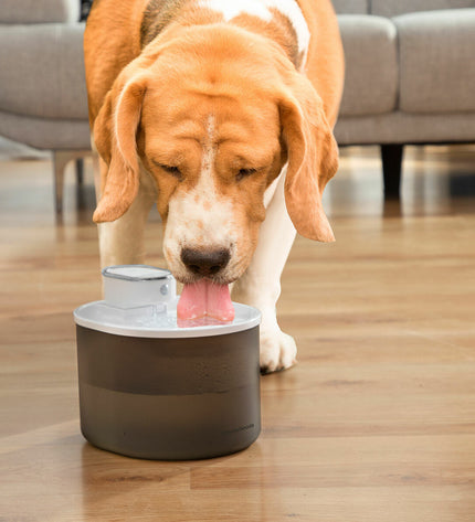 InnovaGoods rechargeable cat water fountain with sensor, featuring a modern design and visible water flow for pets.