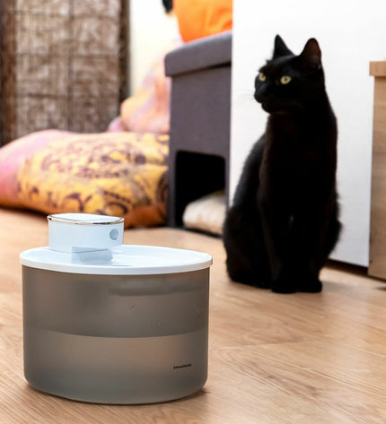 InnovaGoods rechargeable cat water fountain with sensor, featuring a sleek design and flowing water for pet hydration.