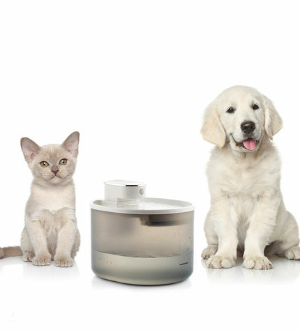 InnovaGoods rechargeable cat water fountain with sensor, showing a sleek design and flowing water for pet hydration.