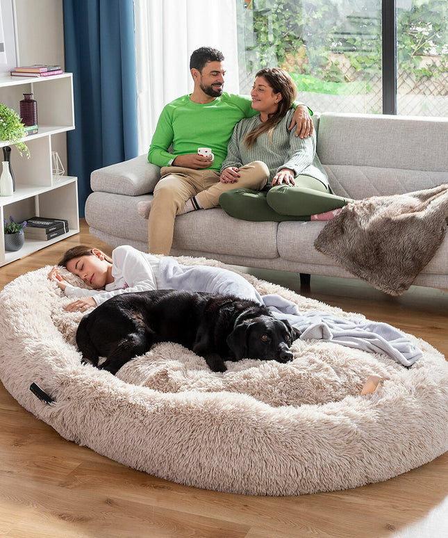 V7H504A3B68D8C129D3BC22B17B9417D976R5434753P1