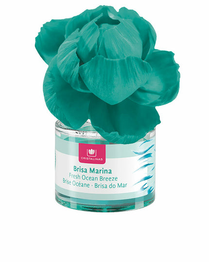 V5H12AAABC6A00DA65C67B0BB24D6E0EB2FR2392133P1