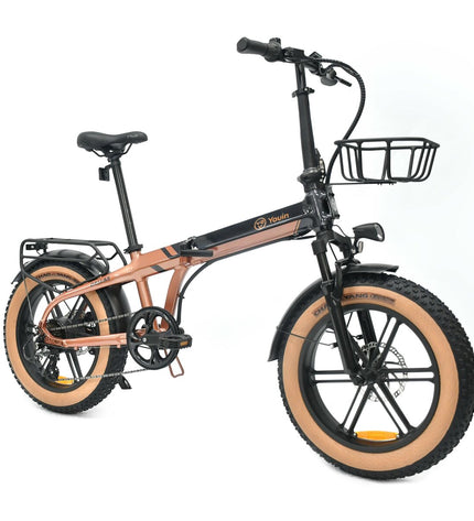 Youin BK1650 Dallas electric bicycle in black coffee color with 20-inch wheels and 250W motor, designed for sport and outdoor riding.