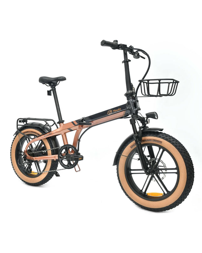 Youin BK1650 Dallas electric bicycle in black coffee color with 20-inch wheels and 250W motor, designed for sport and outdoor riding.