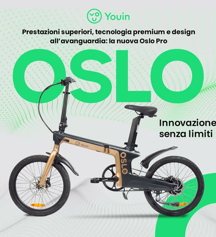 Youin OSLO PRO black and gold electric bike, sporty outdoor design with sleek frame and functional features for cycling enthusiasts