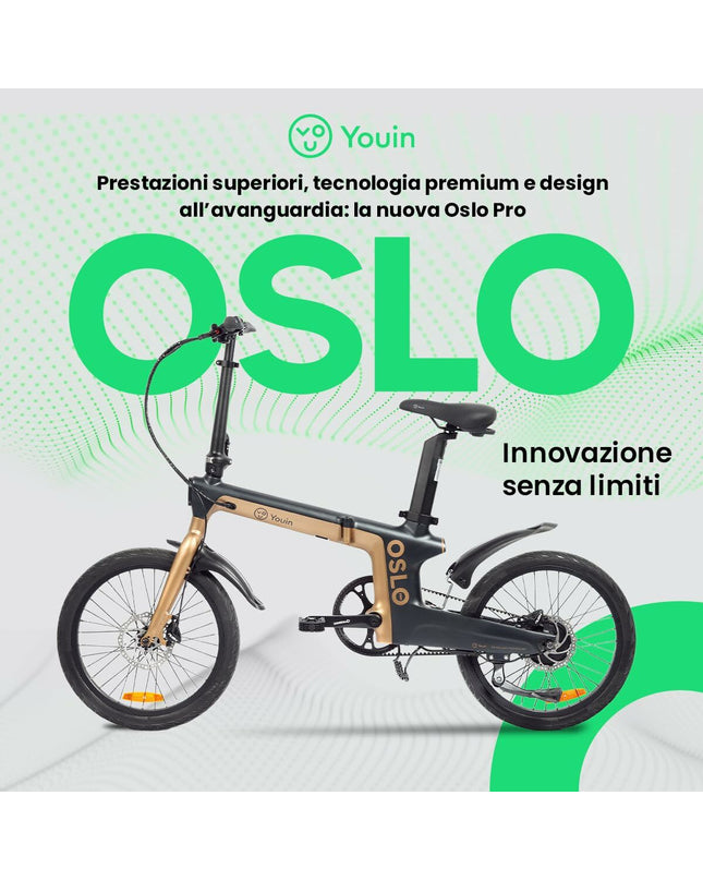 Youin OSLO PRO black and gold electric bike, sporty outdoor design with sleek frame and functional features for cycling enthusiasts