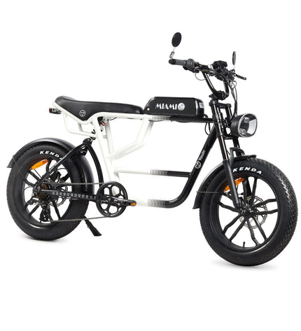 Youin BK7000 Miami electric bike with 20-inch wheels, 250W motor, designed for sport and outdoor cycling.