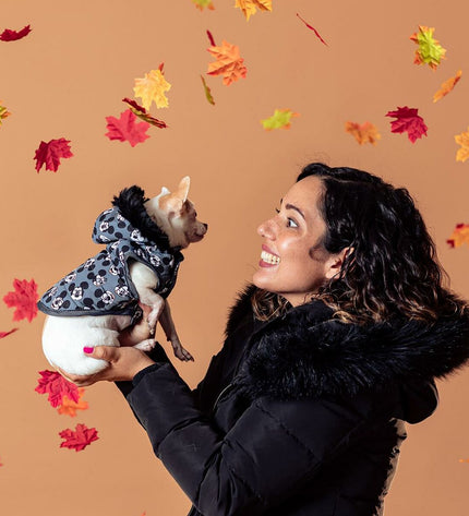 Gray Mickey Mouse dog coat showing a cozy, lightweight design with Mickey Mouse print, perfect for small dogs.