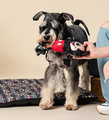 Plastic Mickey Mouse dog toy in black, measuring 15x6x28 cm, designed for dogs, featuring a playful Mickey Mouse character.