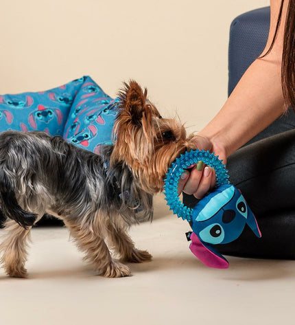 Blue Stitch dog chew toy, measuring 13x6x22 cm, made of durable material, designed for dogs to chew and play.