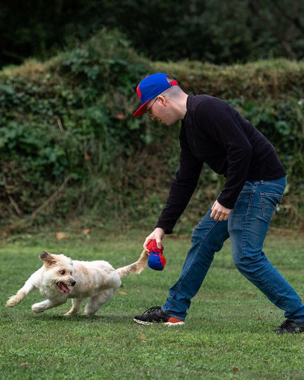 V5H7665D84073F2A31E94DE222BD965DD86R5308632P5