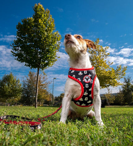 Mickey Mouse dog harness in S/M size, featuring a colorful Mickey Mouse design on a comfortable fabric material.