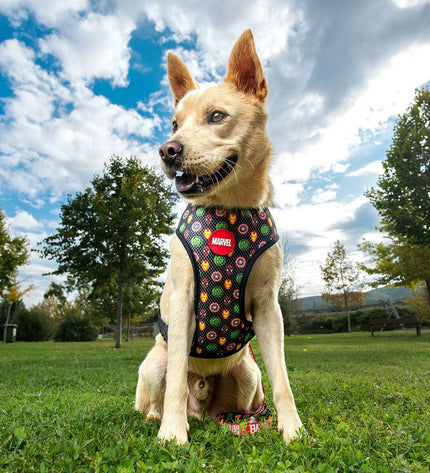Marvel red reversible dog harness in size S/M, shown on a dog, with adjustable straps and sturdy material for comfort and control.