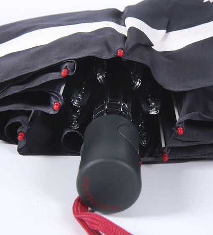 Foldable Harry Potter umbrella with 97 cm canopy, featuring Harry Potter-themed design, suitable for travel and rainy days.