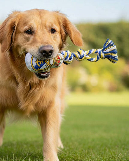 V4HC742CC70F3FB346A7D8123742FB714DCR7187330P5