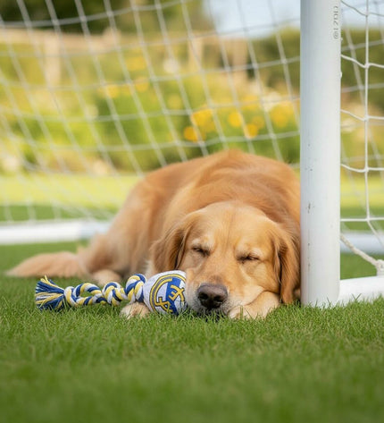 Real Madrid C.F. dog toy in white, 15x33x10 cm, designed for dogs, featuring team branding and durable fabric.