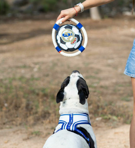 Real Madrid C.F. branded dog frisbee in white, measuring 22 cm, designed for pets to play fetch outdoors.