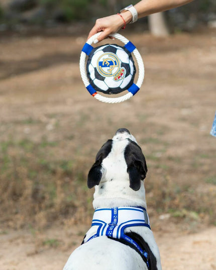 V4HAF34C54344F83DB35B796C991959C40DR7021653P2