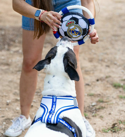 Real Madrid C.F. branded dog frisbee, 22cm square, featuring team logo and colors, designed for dogs to play fetch.
