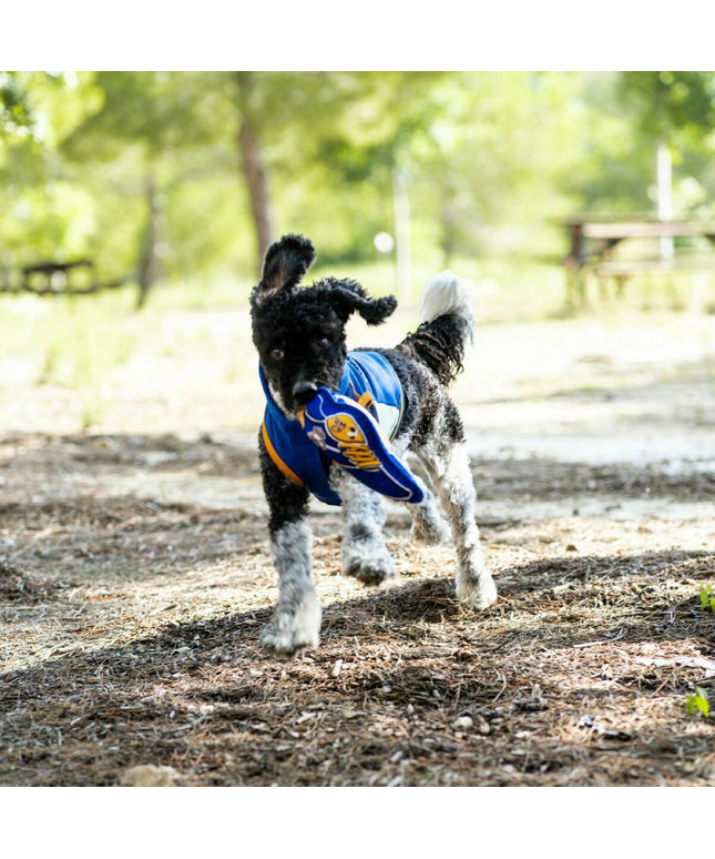 V4HDCF38C1D65592D9A0CC25902AC4F3C51R7021567P2