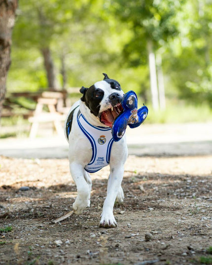 V4H4F45453E35495E783DDAD62643881888R7021663P3