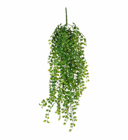 Decorative ficus plant hanger by Mica Decorations, 81 cm tall, perfect for home decor and houseplant display.