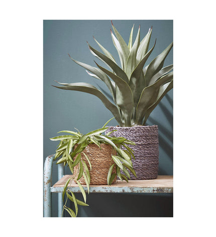 Mica Decorations brown woven storage baskets set with three nesting pieces, ideal for home organization and kitchen use.