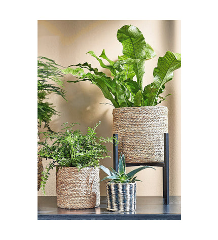 Mica Decorations mandenset with three brown woven baskets for home storage and kitchen organization.