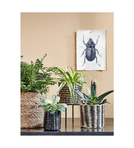 Mica Decorations brown woven storage basket set with three compartments for home organization and kitchen use.
