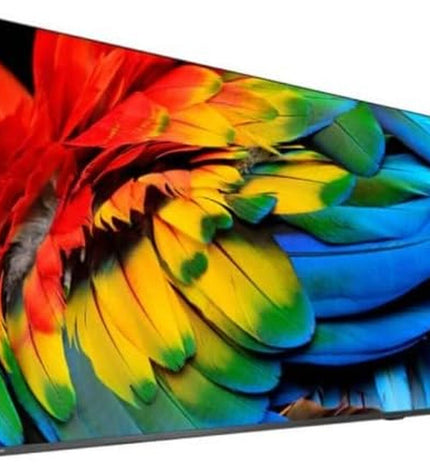 Philips 50HFL6214U 4K Ultra HD LED hotel smart TV displaying a vibrant screen with a modern slim design