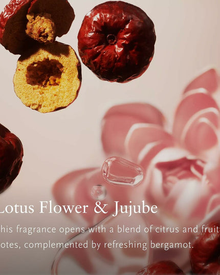 V3H87F311D7D75622BB00B63BC17DA05E58R6240921P4