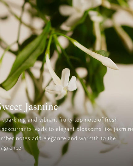 V3H540EA6406C5D366D8C16DA3792B06A13R7588048P4