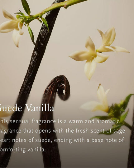 V3HE3FDF9088B5B9B77BE7067627B290807R7591240P3