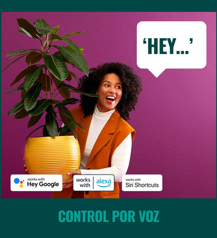 V9H48F17BBB30D9F284DDBDB90109E0E1AFR3272563P8