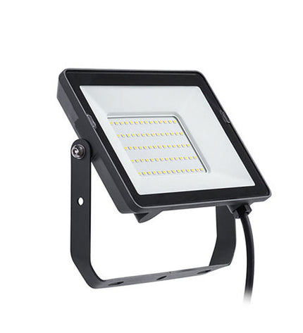 Philips 30W black outdoor garden floodlight, suitable for exterior decoration and outdoor lighting.