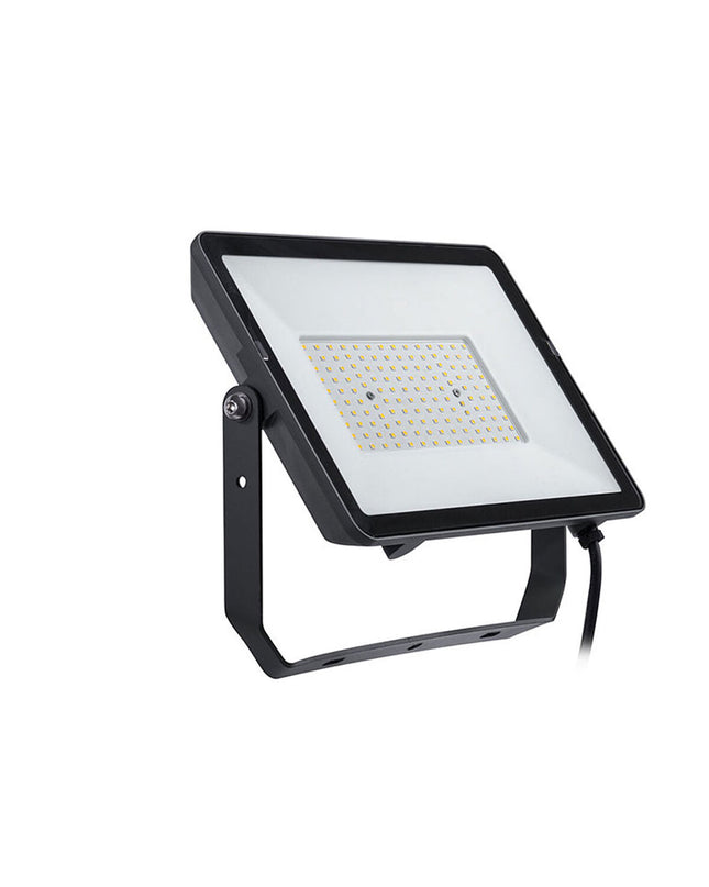 Philips black outdoor garden floodlight for decoration, with a sturdy black casing and adjustable mounting bracket.