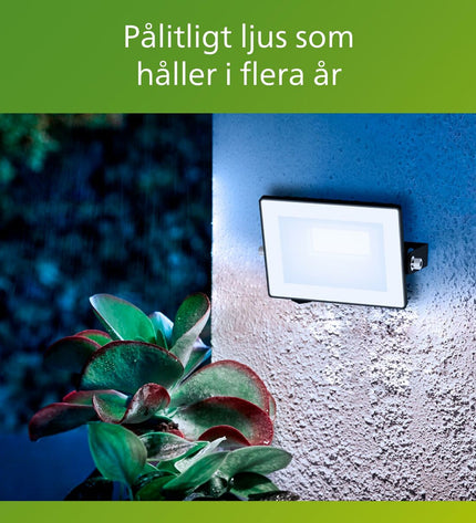 Philips black outdoor garden floodlight with 10W power and 950 lumens for decorative exterior lighting.