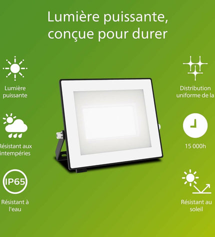 Philips black 30W outdoor garden spotlight with 5000K daylight LED for exterior decoration and landscape lighting.