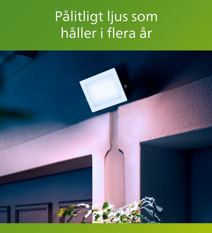 Philips black 30W outdoor garden floodlight with 5000K daylight color, decorative exterior lighting for garden and outdoor spaces
