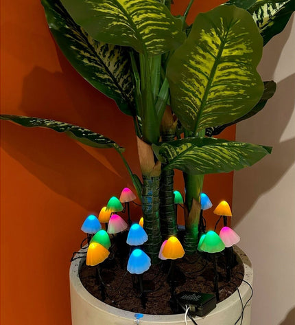 Set of 20 Lumineo multicolour mini mushroom outdoor plant decorative lights, garden decor for outdoor plants and garden ambiance.
