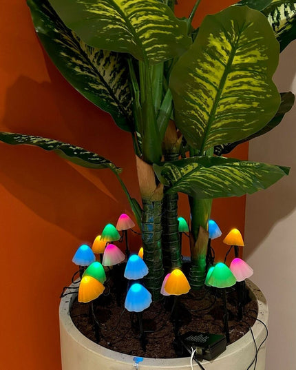 V3HDFD022C2E5CB9619DF8CD0A8F466328AR7170233P4