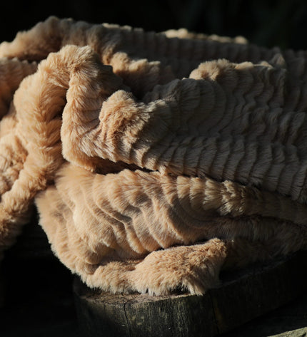Owl Clay