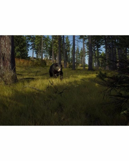 V4H18D275F83A7B7A62B4460091BEB58345R5149004P3